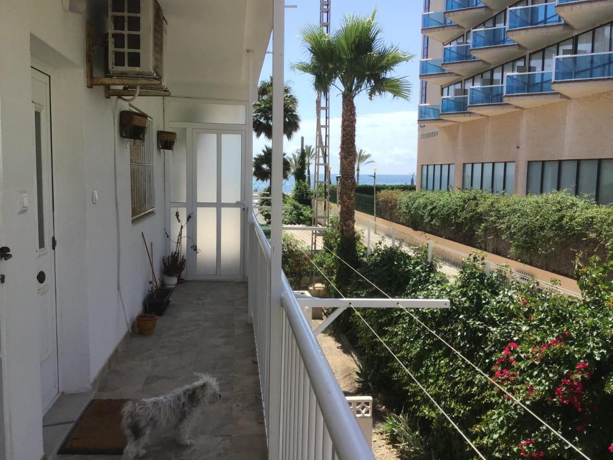 Carpe Diem Apartment El Albir Екстериор снимка